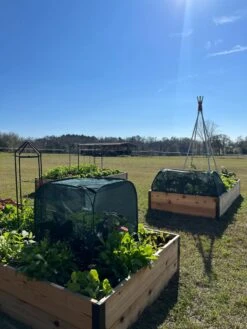 Pest Control Pop-Ups -Yard Tool Store 8611989 05 tif