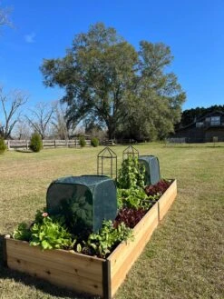 Pest Control Pop-Ups -Yard Tool Store 8611989 08 tif