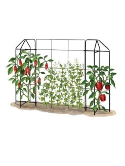 Zenith Trellis -Yard Tool Store 8612035 art tif
