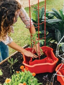 Deluxe Tomato Halos, Set Of 2 -Yard Tool Store 8612045 135 tif