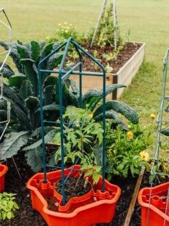 Deluxe Tomato Halos, Set Of 2 -Yard Tool Store 8612045 221 tif