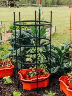 Deluxe Tomato Halos, Set Of 2 -Yard Tool Store 8612045 228 tif