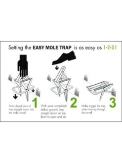 Easy Mole Trap -Yard Tool Store 8612557 04v 1