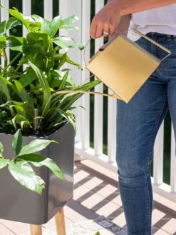 Precision Brass Watering Can -Yard Tool Store 8612691 0011