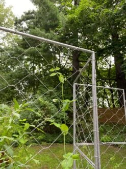 Chicken Wire Pea Trellis -Yard Tool Store 8612718 7302