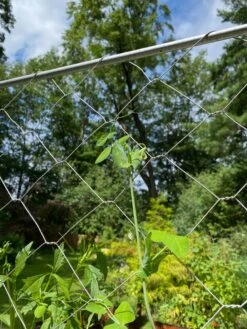 Chicken Wire Pea Trellis -Yard Tool Store 8612718 7311
