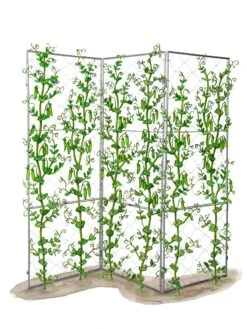Chicken Wire Pea Trellis -Yard Tool Store 8612718 peatrellis art chicken wire pea trellis