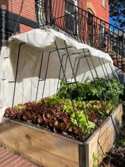 Cotton All Purpose Garden Cover -Yard Tool Store 8612816 01CUST