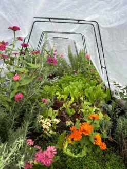 All-Purpose Garden Fabric -Yard Tool Store 8612816 01TEST