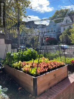 Zenith Garden Hoops, Set Of 4 -Yard Tool Store 8612816 02CUST