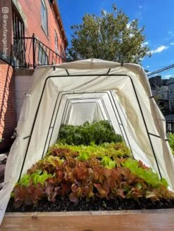 Cotton All Purpose Garden Cover -Yard Tool Store 8612816 03CUST