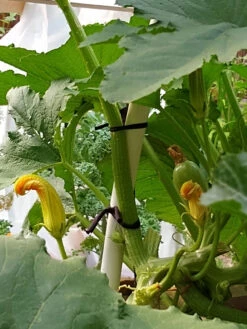 Farmyarn® Multipurpose Garden Tie, 2 Pack -Yard Tool Store 8612948 01v