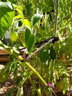 Farmyarn® Multipurpose Garden Tie, 2 Pack -Yard Tool Store 8612948 02v