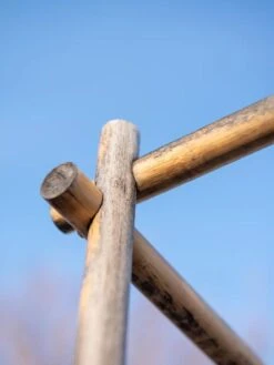 Bamboo Tomato Cages, Set Of 3 17 Bamboo Tomato Cages, Set Of 3 -Yard Tool Store 8613143 0385