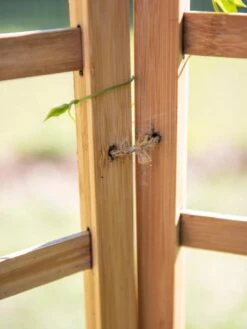 Bamboo Zig-Zag Trellis 24" X 36" -Yard Tool Store 8613151 6483