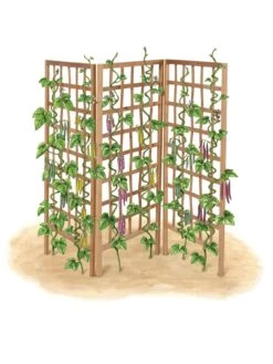Bamboo Zig-Zag Trellis 24" X 36" -Yard Tool Store 8613151 art flat