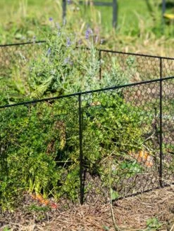 Chicken Wire Critter Fence, 16" High -Yard Tool Store 8613249 0352