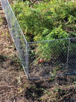 Chicken Wire Critter Fence, 16" High -Yard Tool Store 8613249 0358