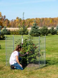 Tall Chicken Wire Critter Fence With Gate -Yard Tool Store 8613260 0044 1