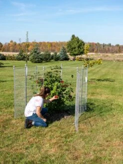 Tall Chicken Wire Critter Fence Extension Panel, Set Of 2 -Yard Tool Store 8613260 0090