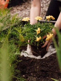 Hortiwool ®, Starter Garden Pad -Yard Tool Store 8613263 12v