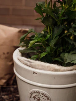 Hortiwool ®, 5 Pad Pack -Yard Tool Store 8613263 17v