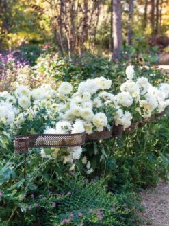 Scroll Linking Stakes, Set Of 3 -Yard Tool Store 8613321 5195