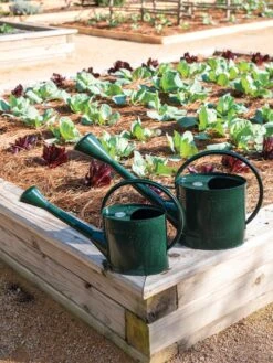 Long Reach Watering Can, Large -Yard Tool Store 8613346 0148