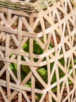 Bamboo Cloche, Set Of 2 -Yard Tool Store 8613351 0153