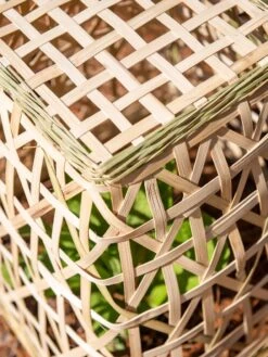 Bamboo Cloche, Set Of 2 -Yard Tool Store 8613351 0154