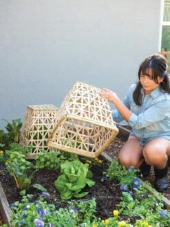 Bamboo Cloche, Set Of 2 -Yard Tool Store 8613351 6862