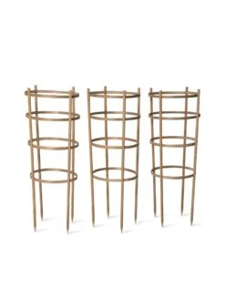 Bamboo Tomato Cages, Set Of 3 15 Bamboo Tomato Cages, Set Of 3 -Yard Tool Store 8613426 4679 bamboo tomato cages 3