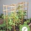Bamboo Tomato Cages, Set Of 3