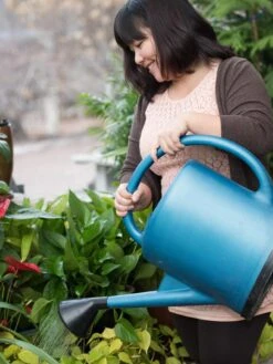 French Blue Watering Can -Yard Tool Store EmilyHoangSquare 0151 tif