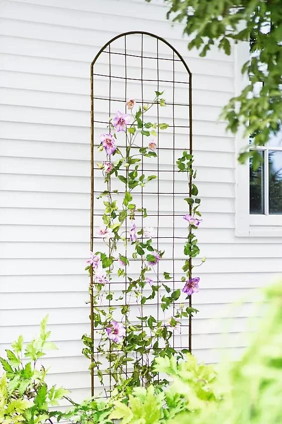 Jardin Flower Trellis 1 Jardin Flower Trellis