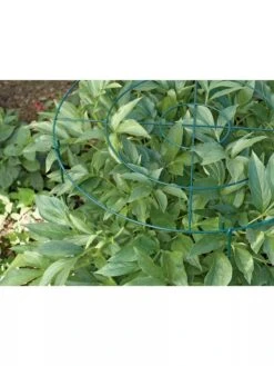 Grow Through Supports, Set Of 3 -Yard Tool Store GS40172 01 1