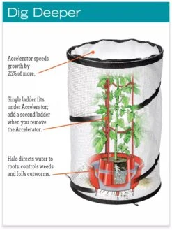 Tomato TLC Kits, Set Of 3 9 Tomato TLC Kits, Set Of 3 -Yard Tool Store hiw 8594214 jpg